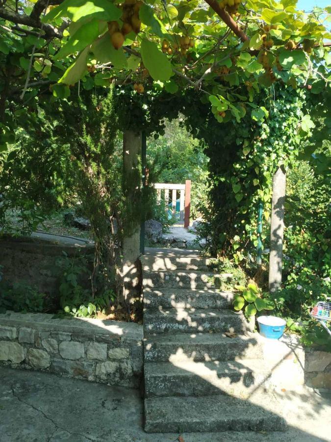 Kamp Seosko Domacinstvo Radman Hotel Herceg Novi Exterior photo
