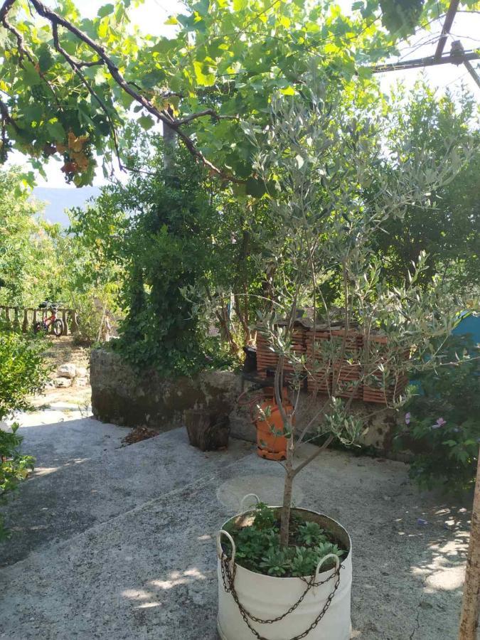 Kamp Seosko Domacinstvo Radman Hotel Herceg Novi Exterior photo