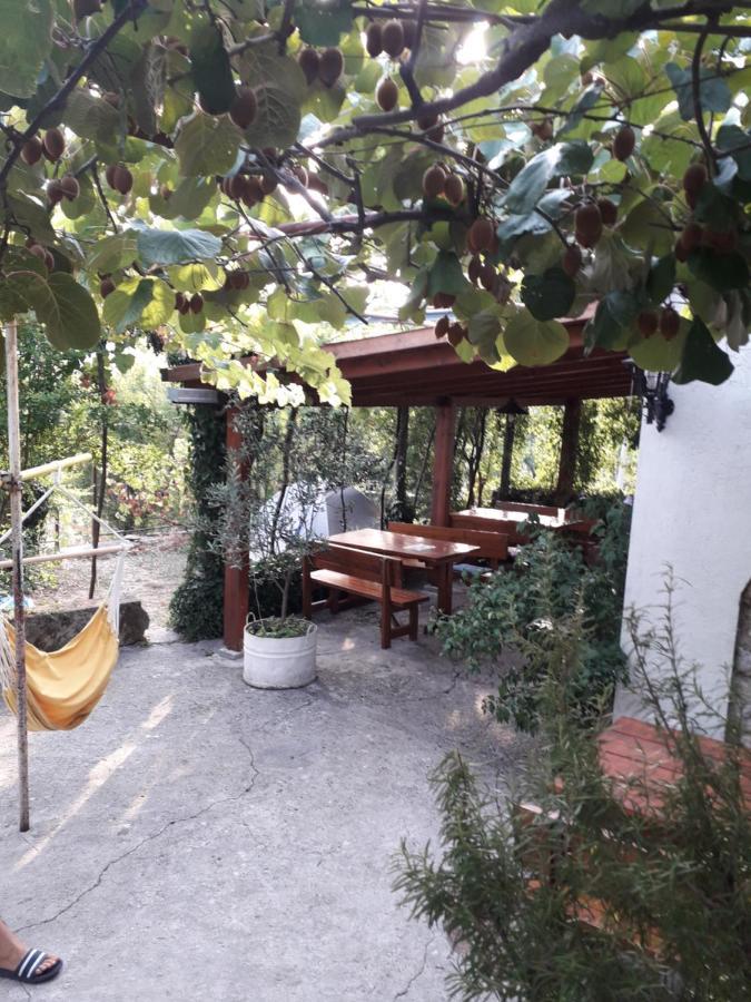 Kamp Seosko Domacinstvo Radman Hotel Herceg Novi Exterior photo